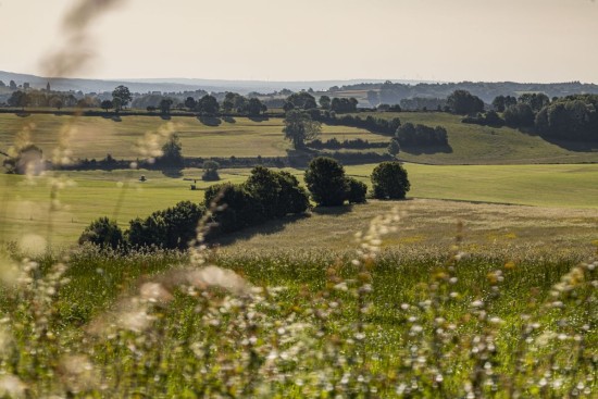 mobile_block_image_2